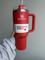 Brand New Valentines Day Stanley 2024