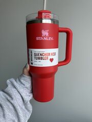 Brand New Valentines Day Stanley 2024
