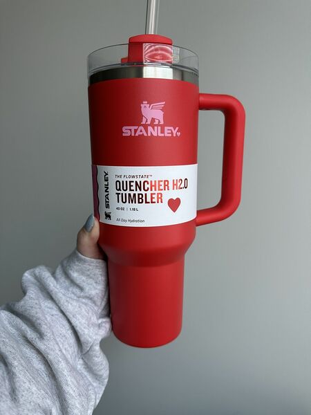 Brand New Valentines Day Stanley 2024