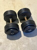 95lb Dumbbell Weights. Will Deliver