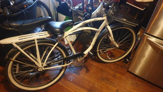 Schwimm Beach Cruiser