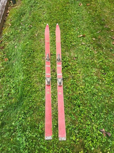 Antique Vostra Skis