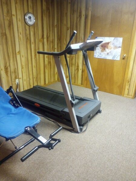 Treadmill And Exercise Bike  (Pro Form)