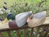 Duck 🦆 Decoys