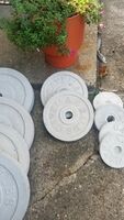 Cement Olympic Plates