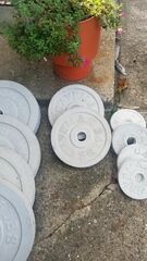 Cement Olympic Plates