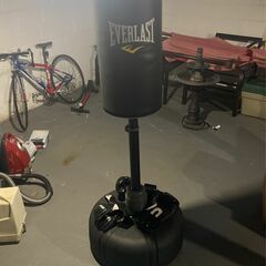 Everlast OmniFlex Bag With Boxing And MMA Gloves