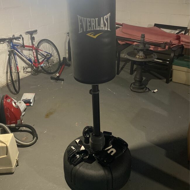Everlast OmniFlex Bag With Boxing And MMA Gloves