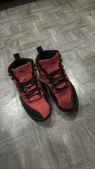 Jordan 12 reverse flu game