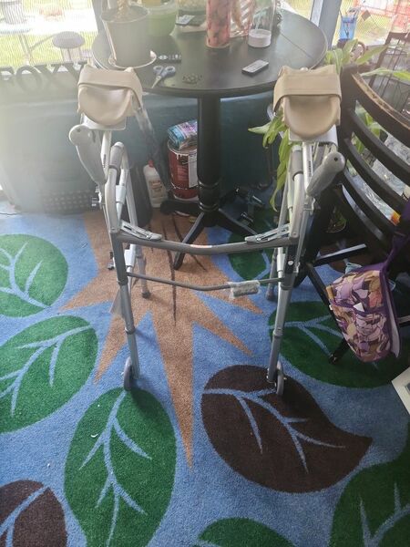 Folding 2 Button Walker