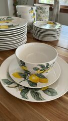 Royal Norfolk Lemon Printed Dinner Set (12)