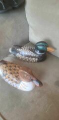 Duck Decoys