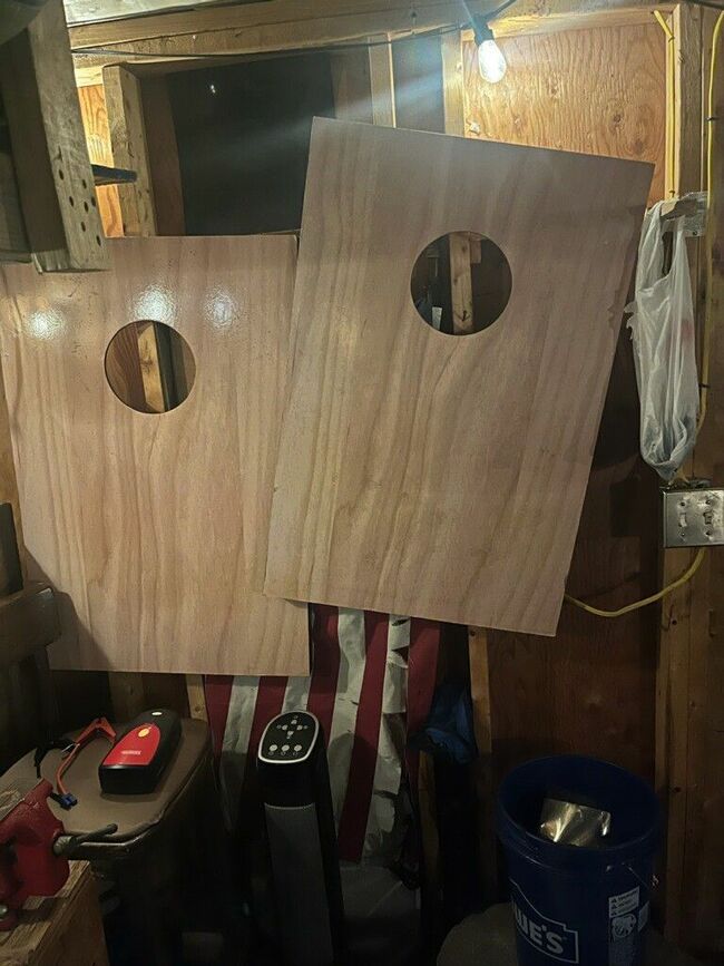 Corn Hole Party Game