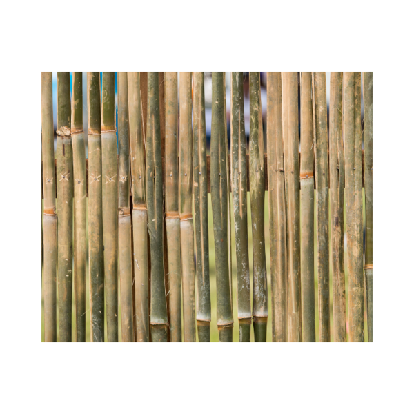 For Your Garden Decoration - Bamboo Fences