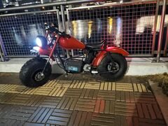 Baja Warrior Electric Offroad Bike Scooters  READ DESCRIPTION