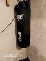 Everlast MMA Boxing/kicking Bag