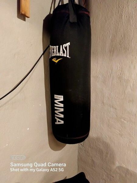 Everlast MMA Boxing/kicking Bag