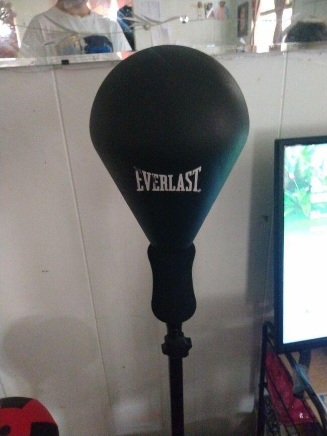 Everlast Punching Bag 4foot To 5'3