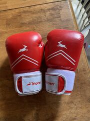 Heavy Boxing Bag With Boxing Gloves