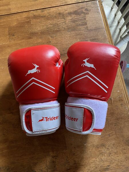 Heavy Boxing Bag With Boxing Gloves