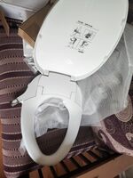 Toilet Seat