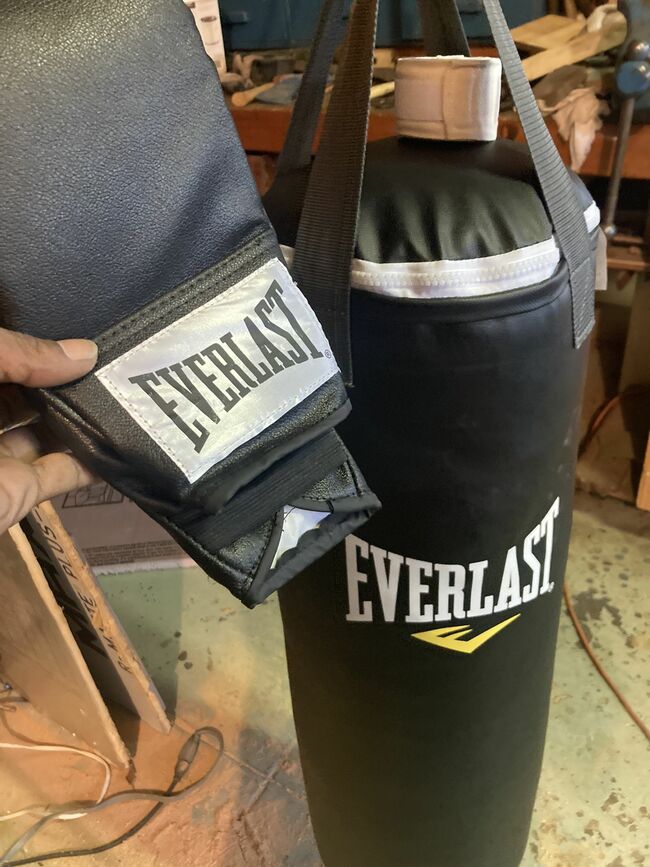 Everlast Punching Bag With Gloves And Wraps