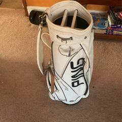 Vintage Ping Cart Bag!