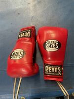 Cleto Reyes 16ox Lace up Boxing Gloves